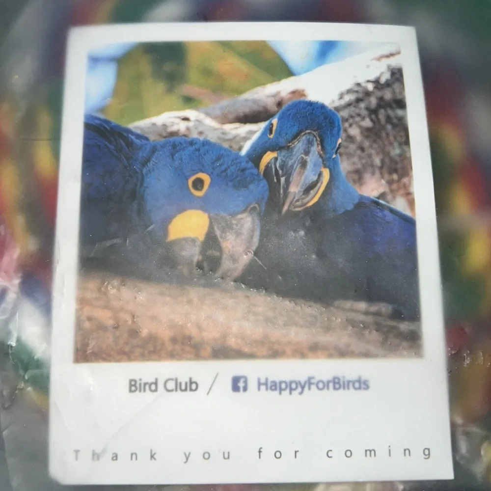 NIP Bird Perch Set
